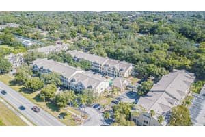 5052 SUNRIDGE PALMS DRIVE, TAMPA, FL 33617 Sold 12/15/23