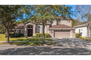 20206 RAVENS END DRIVE, TAMPA, FL 33647 Sold 02/05/24