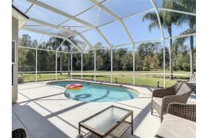 25143 GEDDY DRIVE, LAND O LAKES, FL 34639 Sold 02/15/24