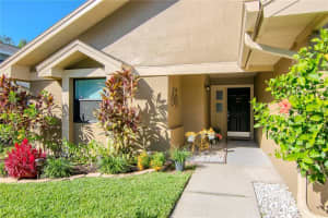 5045 CYPRESS TRACE DRIVE, TAMPA, FL 33624 Sold 12/15/23