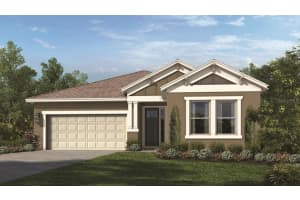 10561 TRANQUIL MEADOW LOOP, RIVERVIEW, FL 33569 Sold 12/27/23