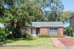 3913 PLATT STREET, TAMPA, FL 33609 Sold 03/30/24