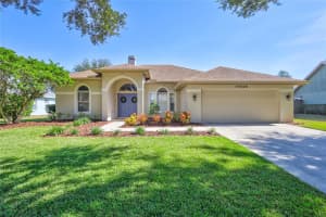 19508 WYNDMILL CIRCLE, ODESSA, FL 33556 Sold 12/15/23