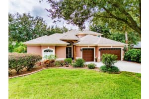 1304 OXBRIDGE DRIVE, LUTZ, FL 33549 Sold 03/22/24