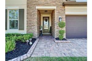 10513 ALCON BLUE DRIVE, RIVERVIEW, FL 33578 Sold 01/19/24