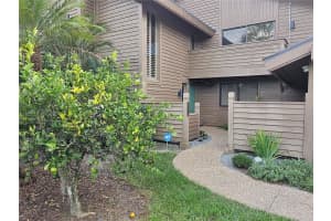 29930 BAYWOOD LANE, WESLEY CHAPEL, FL 33543 Sold 12/12/23