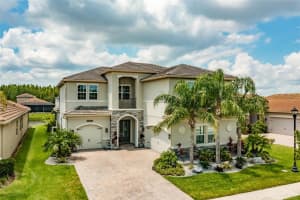 31168 CHESAPEAKE BAY DR DRIVE, WESLEY CHAPEL, FL 33543 Sold 03/04/24