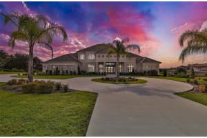 12213 BROADWATER LOOP, THONOTOSASSA, FL 33592 Sold 04/19/24