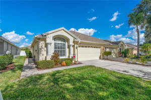19355 HASKELL PLACE, LAND O LAKES, FL 34638 Sold 12/15/23