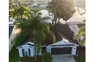 10119 CEDAR DUNE DRIVE, TAMPA, FL 33624 Sold 01/26/24