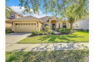 20419 WALNUT GROVE LANE, TAMPA, FL 33647 Sold 02/29/24
