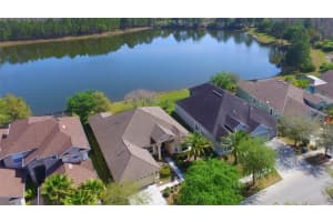 20419 WALNUT GROVE LANE, TAMPA, FL 33647 Sold 02/29/24
