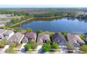 20419 WALNUT GROVE LANE, TAMPA, FL 33647 Sold 02/29/24