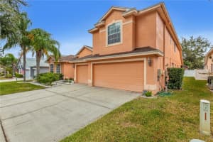 19107 NATURE PALM LANE, TAMPA, FL 33647 Sold 03/29/24