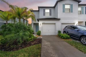 4449 GLOBE THISTLE DRIVE, TAMPA, FL 33619 Sold 02/07/24