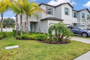 4449 GLOBE THISTLE DRIVE, TAMPA, FL 33619 Sold 02/07/24