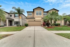 11618 PALMETTO PINE STREET, RIVERVIEW, FL 33569 Sold 05/10/24
