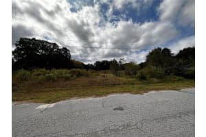 4343 FOX RIDGE BOULEVARD, WESLEY CHAPEL, FL 33543 Sold 05/23/24