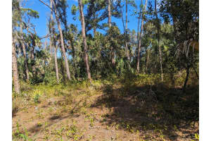 0 APRICOLA ROAD, NORTH PORT, FL 34286 - MLS#MFRT3486908