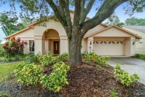 9527 PEBBLE GLEN AVENUE, TAMPA, FL 33647 Sold 02/23/24
