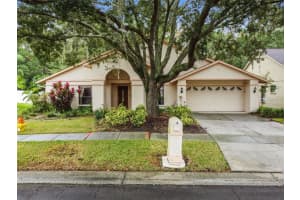 9527 PEBBLE GLEN AVENUE, TAMPA, FL 33647 Sold 02/23/24