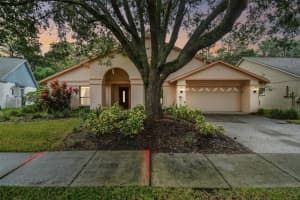 9527 PEBBLE GLEN AVENUE, TAMPA, FL 33647 Sold 02/23/24
