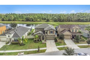 13346 PALMERA VISTA DRIVE, RIVERVIEW, FL 33579 Sold 02/23/24