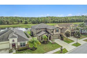 13346 PALMERA VISTA DRIVE, RIVERVIEW, FL 33579 Sold 02/23/24