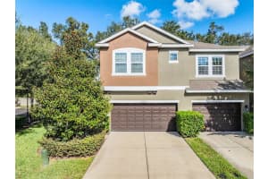 10702 AVERY PARK DRIVE, RIVERVIEW, FL 33578 Sold 12/29/23