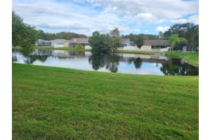 5141 BALSAM DRIVE, LAND O LAKES, FL 34639 Sold 03/15/24