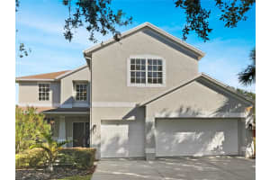 11923 AUTUMN CREEK DRIVE, RIVERVIEW, FL 33569 Sold 04/25/24