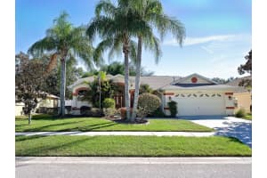 24330 BRANCHWOOD COURT, LUTZ, FL 33559 Sold 12/22/23