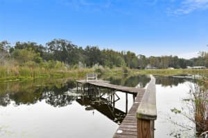 3213 LAUREL DALE DRIVE, TAMPA, FL 33618 Sold 03/11/24