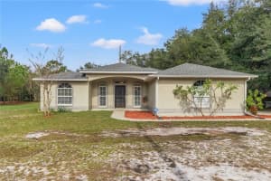 32019 HEDGEROW DRIVE, WESLEY CHAPEL, FL 33543 Sold 01/17/24