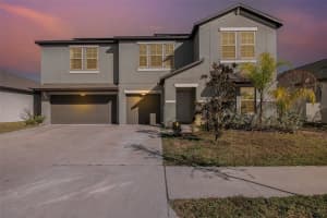 16584 DELIA STREET, WIMAUMA, FL 33598 Sold 01/22/24