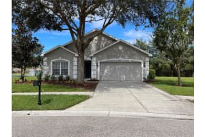 6245 DAINTY BESS COURT, LAND O LAKES, FL 34639 Sold 03/08/24