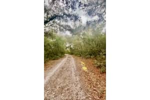 3986 PELICAN AVENUE, INVERNESS, FL 34450 - MLS#MFRT3488607