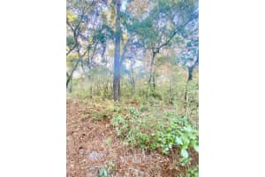 3986 PELICAN AVENUE, INVERNESS, FL 34450 - MLS#MFRT3488607