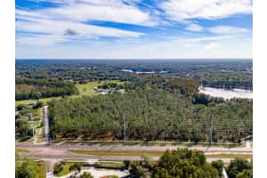 SE CORNER OF HOLLY LANE & S.R. 597 LN, LUTZ, FL 33558 Sold 12/22/25