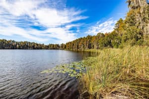 SE CORNER OF HOLLY LANE & S.R. 597 LN, LUTZ, FL 33558 Sold 12/22/25