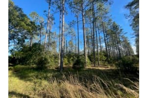 SE CORNER OF HOLLY LANE & S.R. 597 LN, LUTZ, FL 33558 Sold 12/22/25