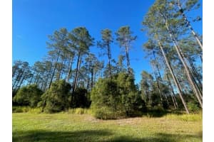 SE CORNER OF HOLLY LANE & S.R. 597 LN, LUTZ, FL 33558 Sold 12/22/25