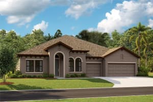 6225 HIDDEN BRANCH DRIVE, APOLLO BEACH, FL 33572 Sold 05/23/25