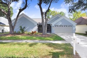 18213 CYPRESS STAND CIRCLE, TAMPA, FL 33647 Sold 05/14/24