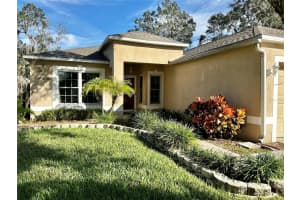 1108 SOARING OSPREY WAY, VALRICO, FL 33594 Sold 02/29/24