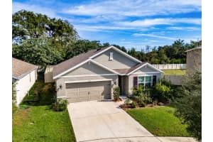 9256 WATOLLA DRIVE, THONOTOSASSA, FL 33592 Sold 01/08/24