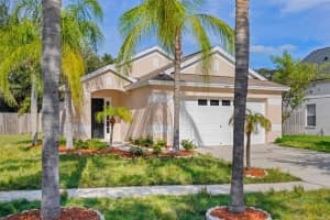 10611 LAKESIDE VISTA DRIVE, RIVERVIEW, FL 33569 Sold 12/29/23