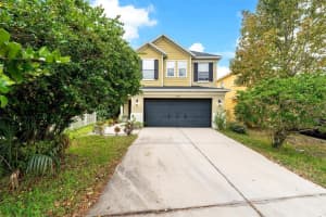 11309 LADY FERN PLACE, RIVERVIEW, FL 33569 Sold 01/19/24
