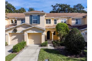 6958 MARBLE FAWN PLACE, RIVERVIEW, FL 33578 Sold 12/29/23
