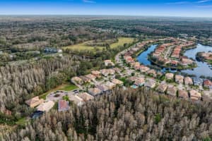 18008 MAUI ISLE DRIVE, TAMPA, FL 33647 Sold 05/24/24